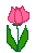fleur