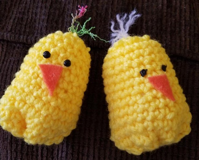 chicky chicks