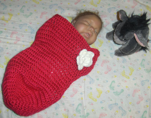 cocoon