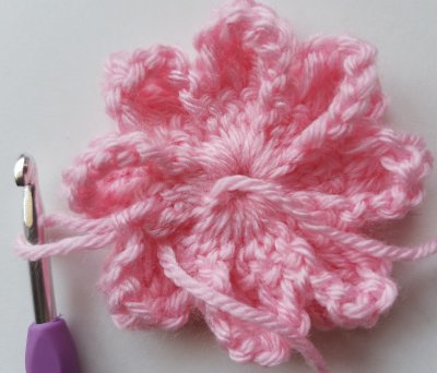 back of flower